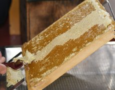 Honning tavle klargøres til slyngning